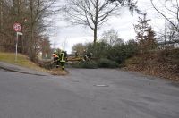 02_2010_Baum_auf_Strasse 07